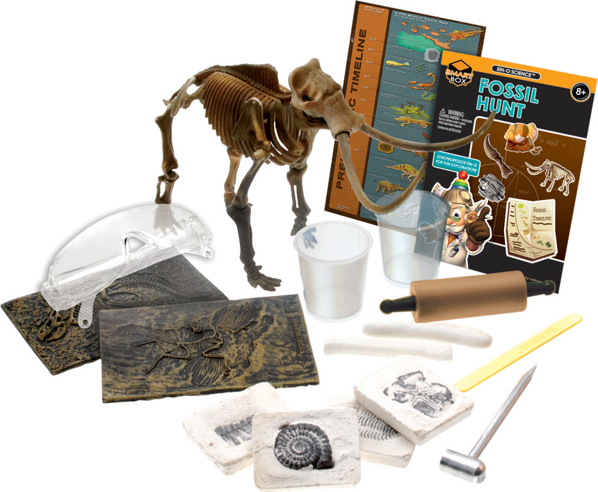 Ein-O Science - Fossil Hunt
