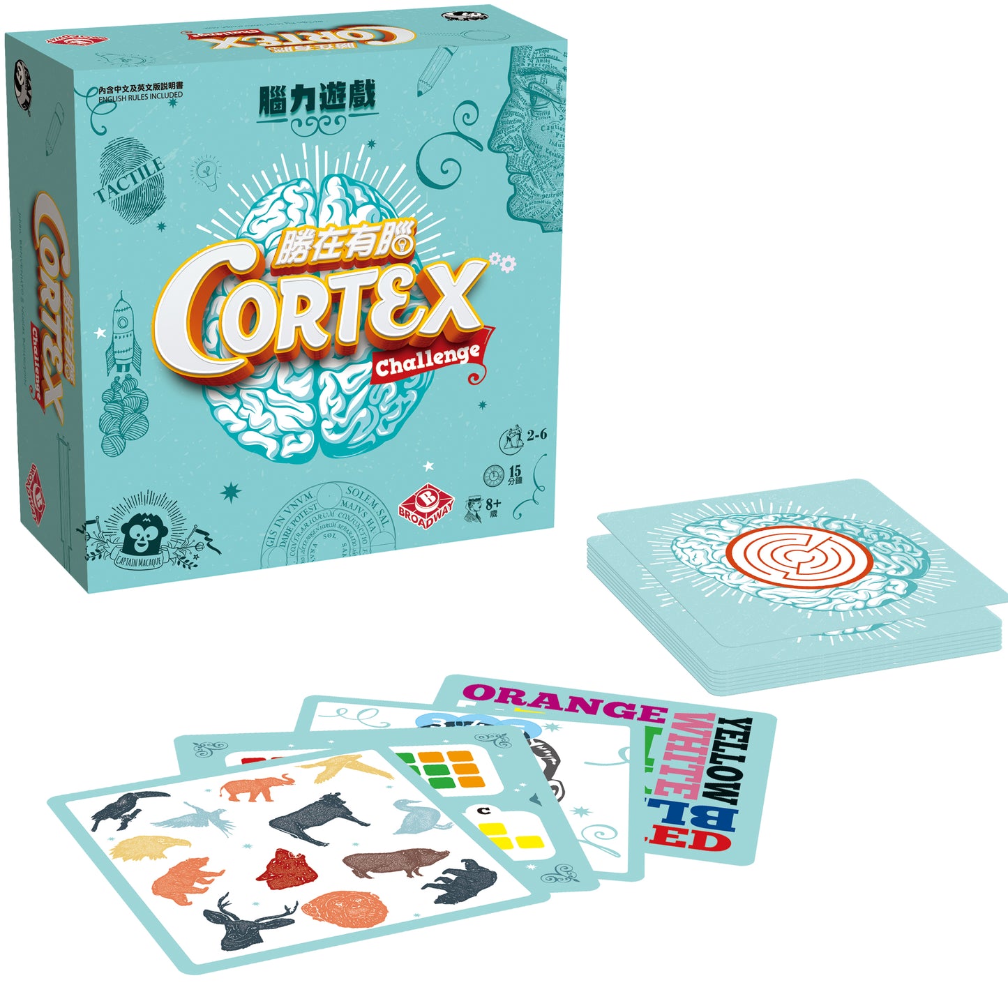 Cortex