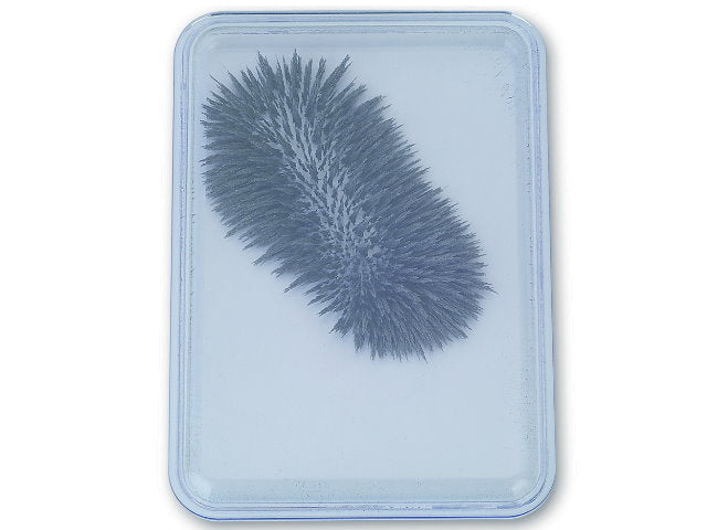 Iron Filings Case