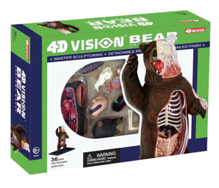 4D Master - Bear Anatomy Model