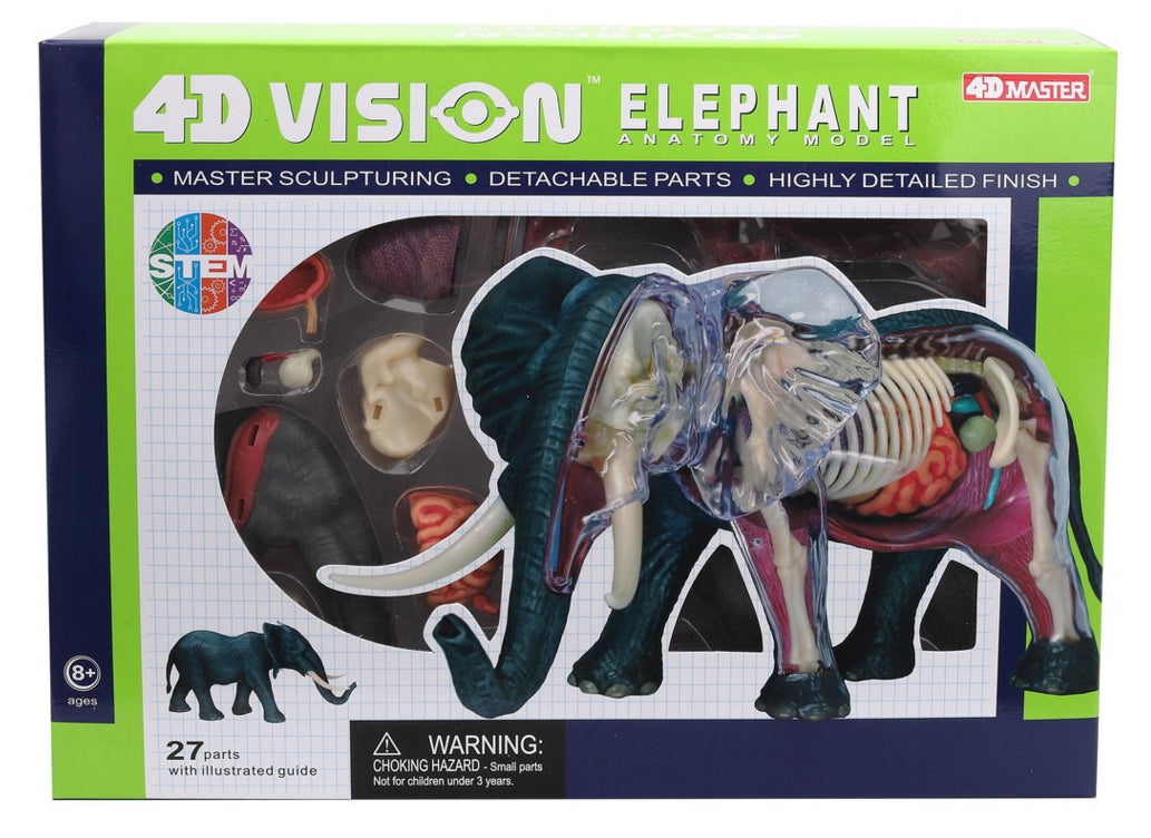 4D Master - Elephant Anatomy Model
