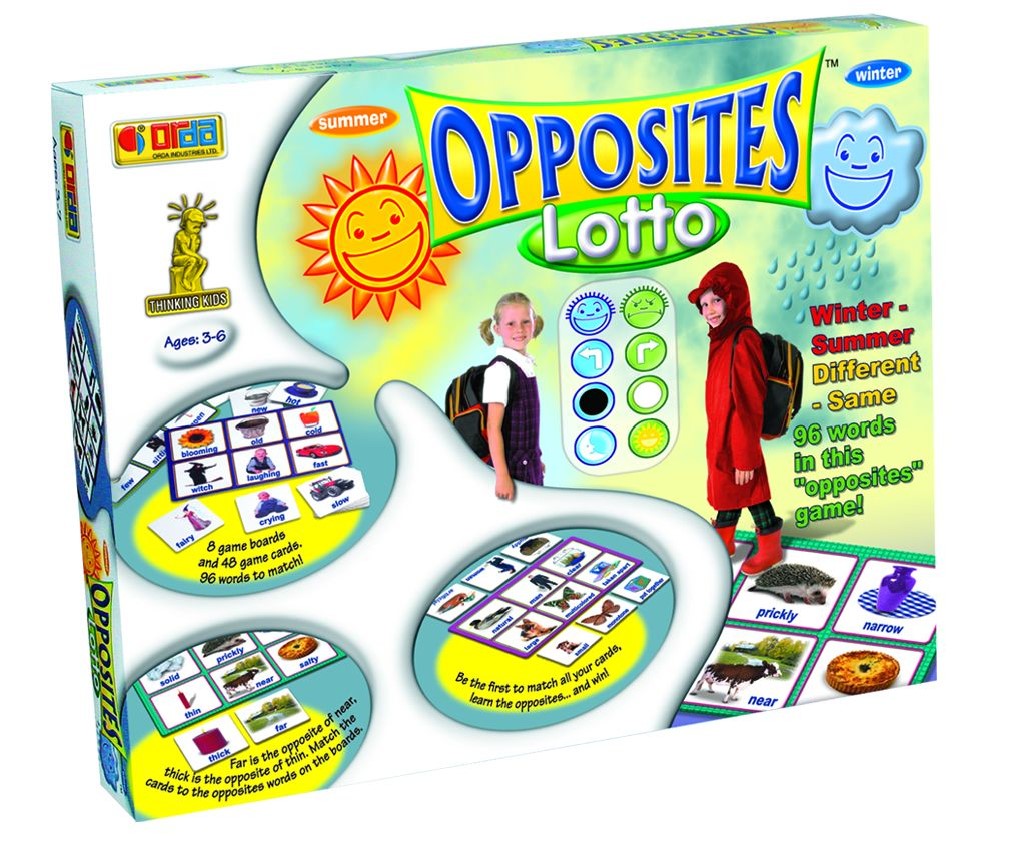 Opposites Lotto