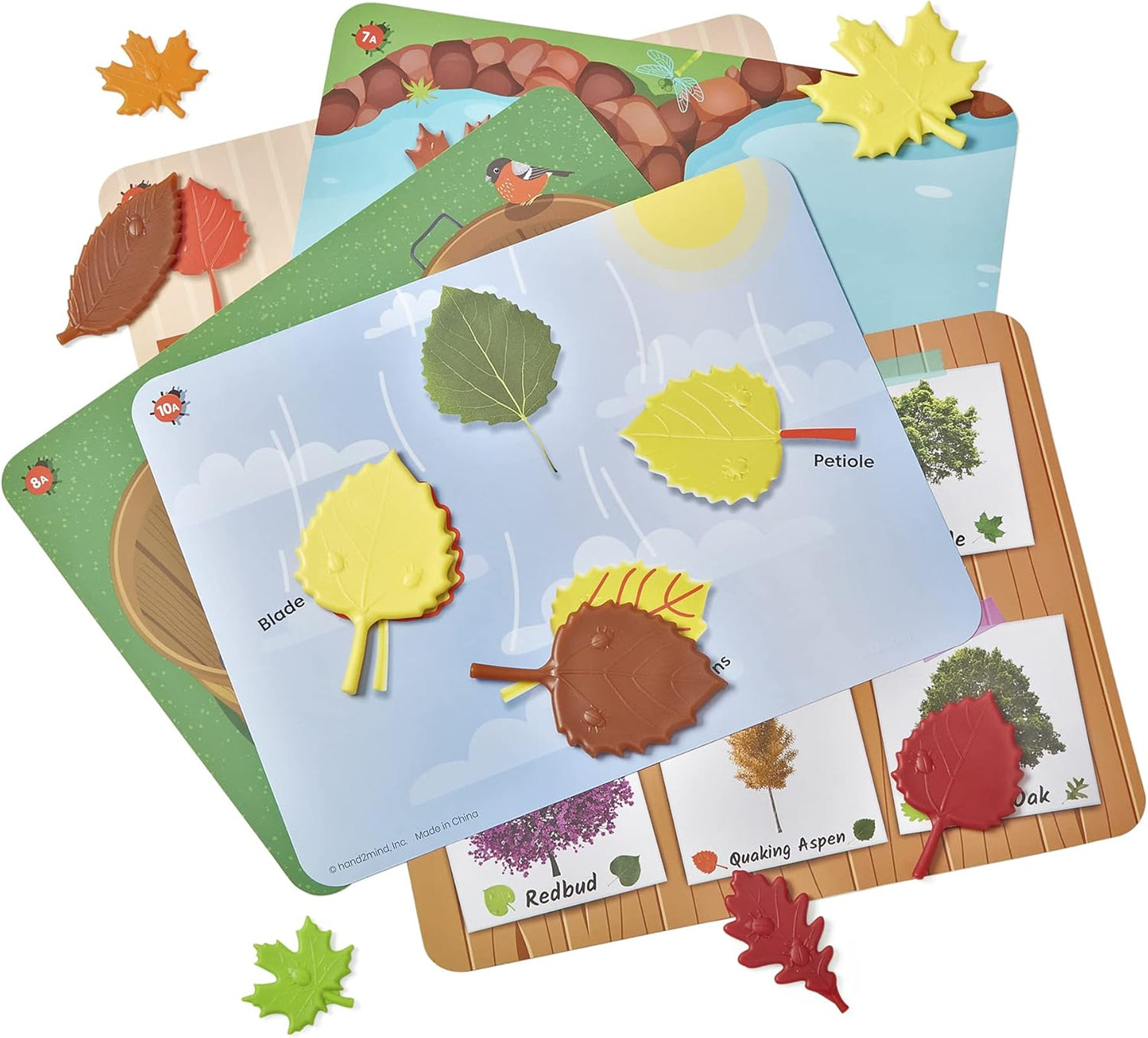hand2mind Sensory Leaves Math Activity Set