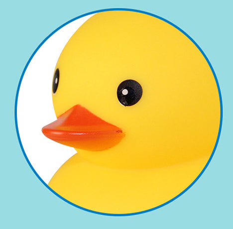 Yellow Duck