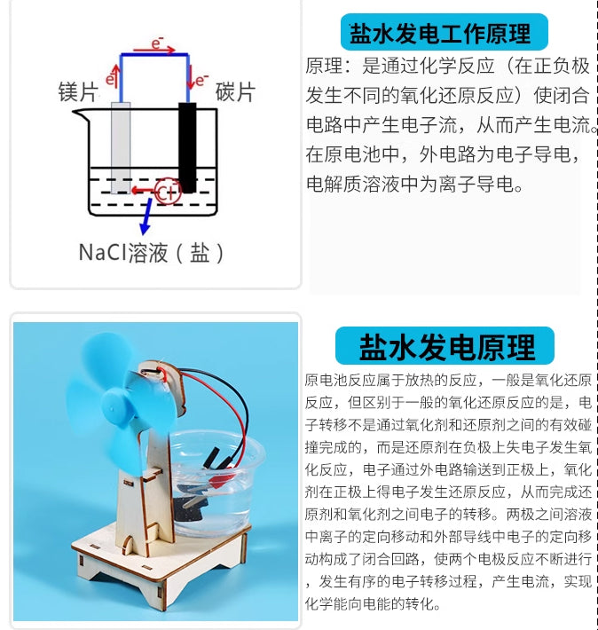 STEAM DIY - Saltwater Power