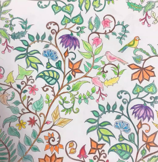 Fantasy Fairy Tale Kingdom Coloring Book
