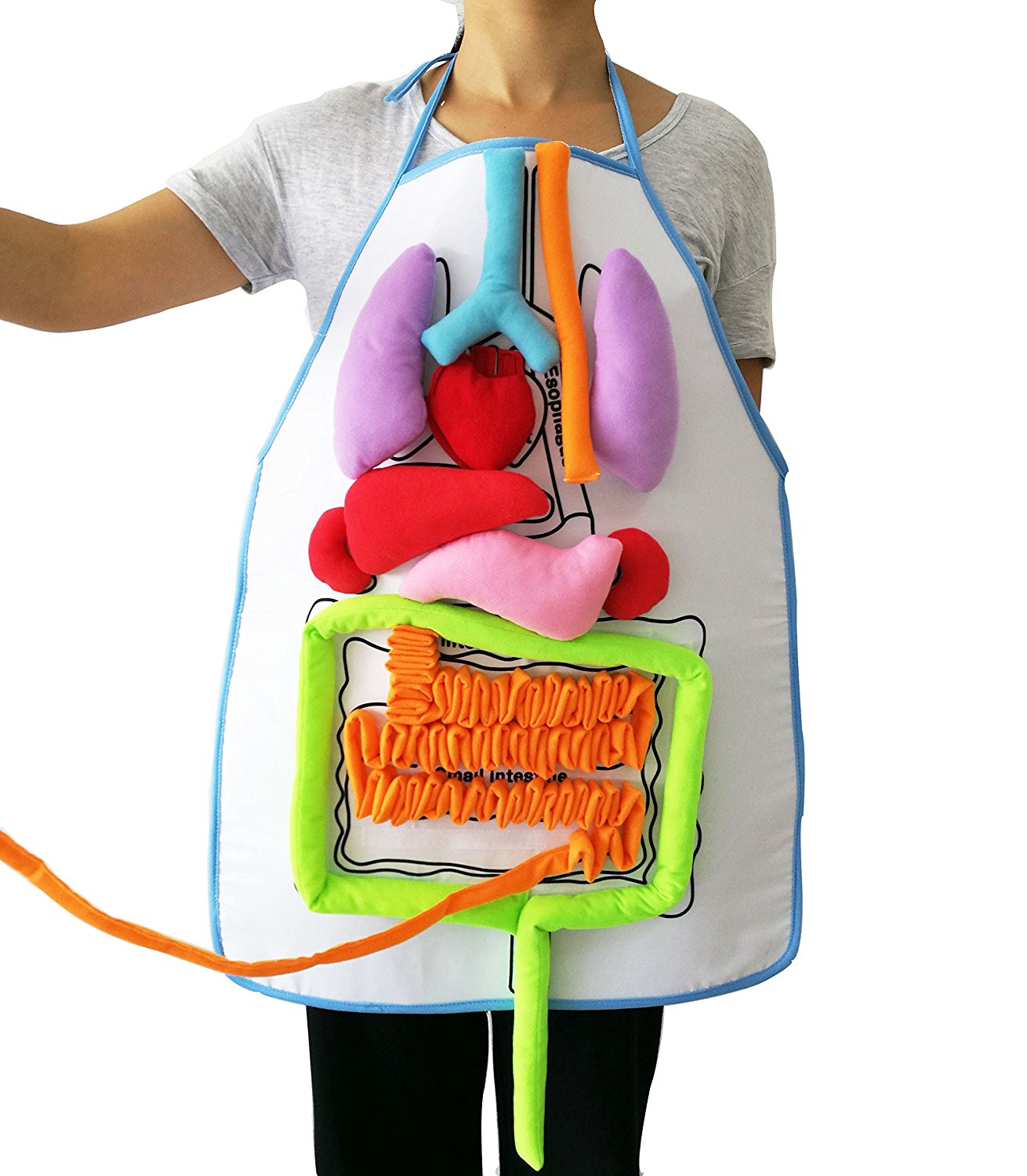 Human Body - Anatomy Apron