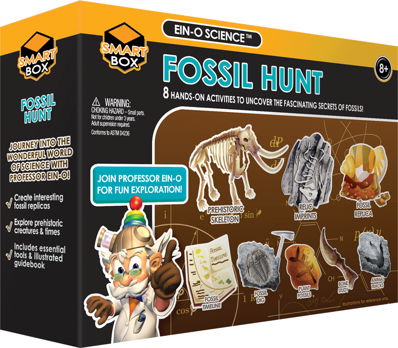 Ein-O Science - Fossil Hunt