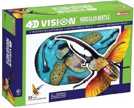 4D Master - Hercules Beetle Anatomy Model