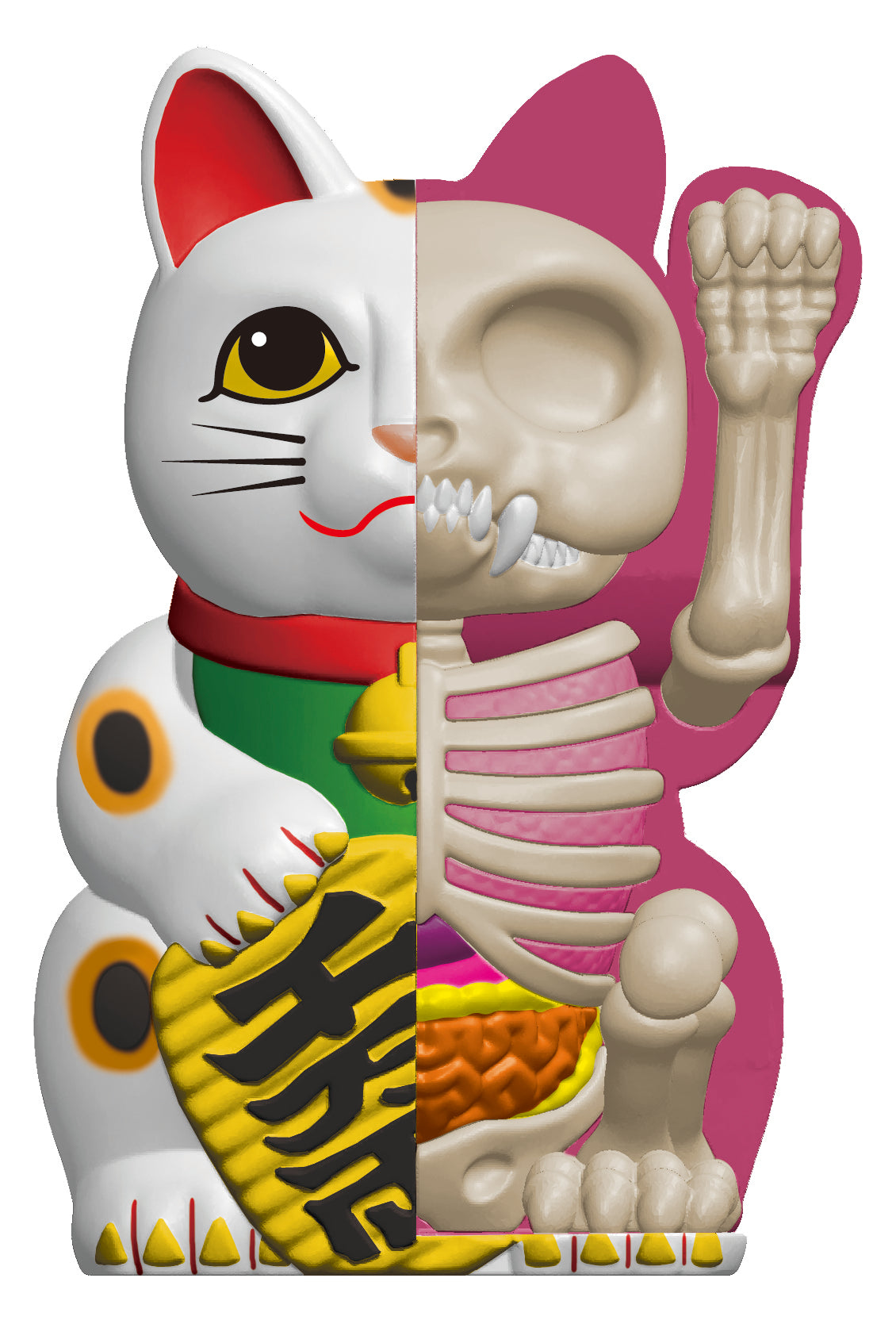 4D Half Fortune Cat Anatomy (Classic)