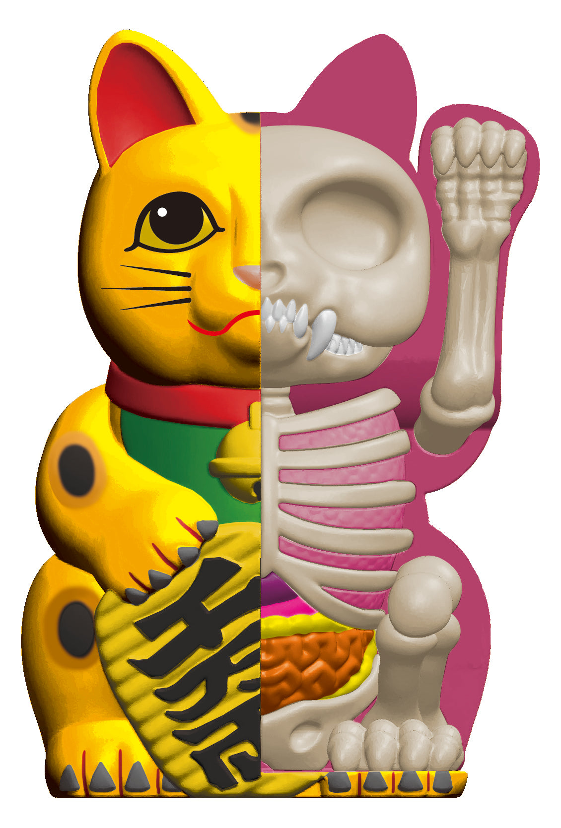4D Half Fortune Cat Anatomy (Gold)