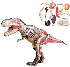 4D Master - T-REX Anatomy Model