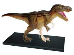 4D Master - T-REX Anatomy Model