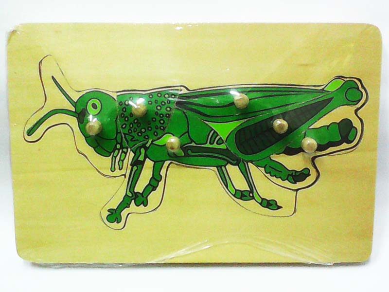 Wooden Puzzle w-handle - Locust Anatomy