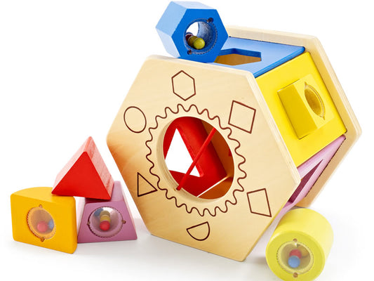 Shake and Match Shape Sorter