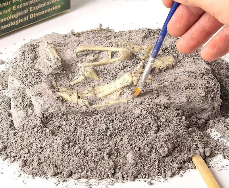Dinosaur Fossil Model (Assembly required)