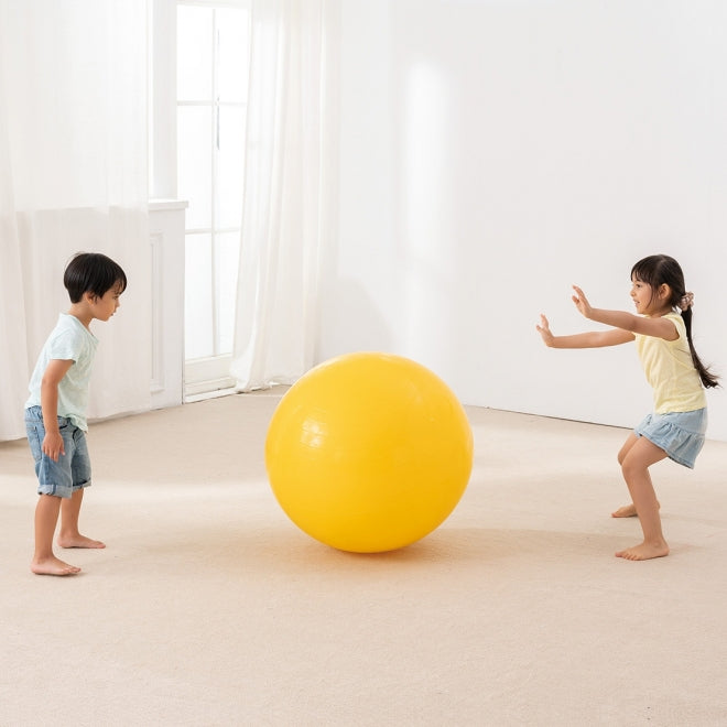 Weplay - Gym Ball (85 cm)