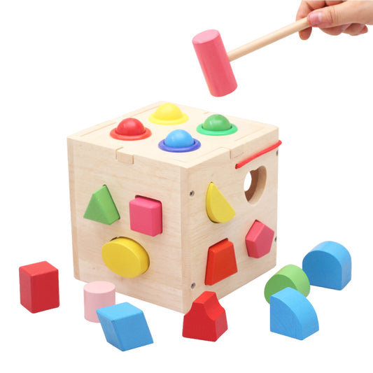17 Shape Sorter