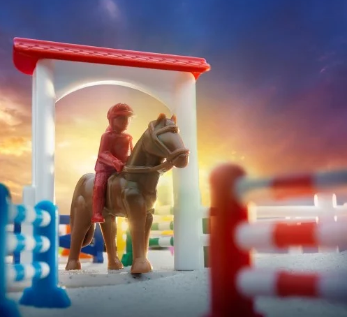Horse Academy