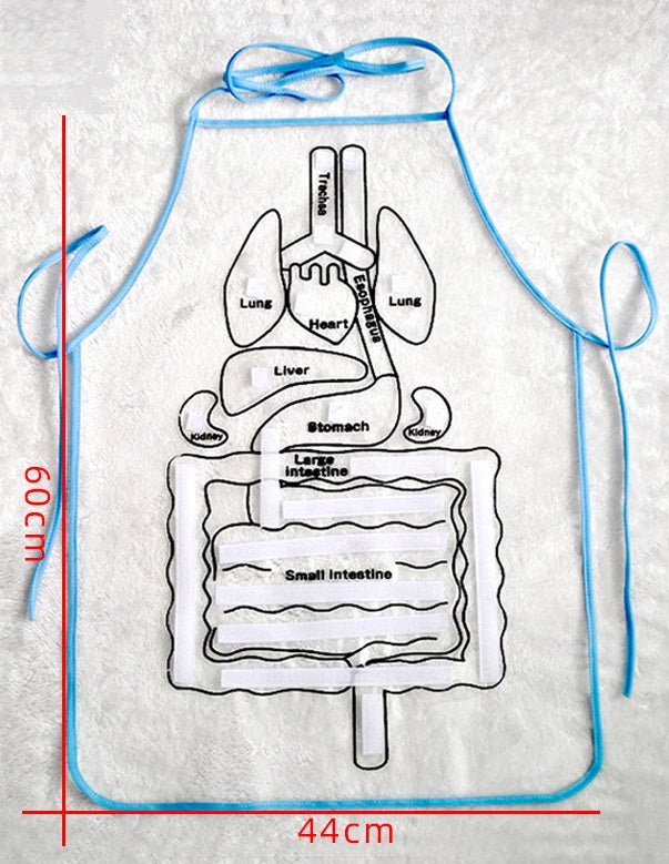 Human Body - Anatomy Apron