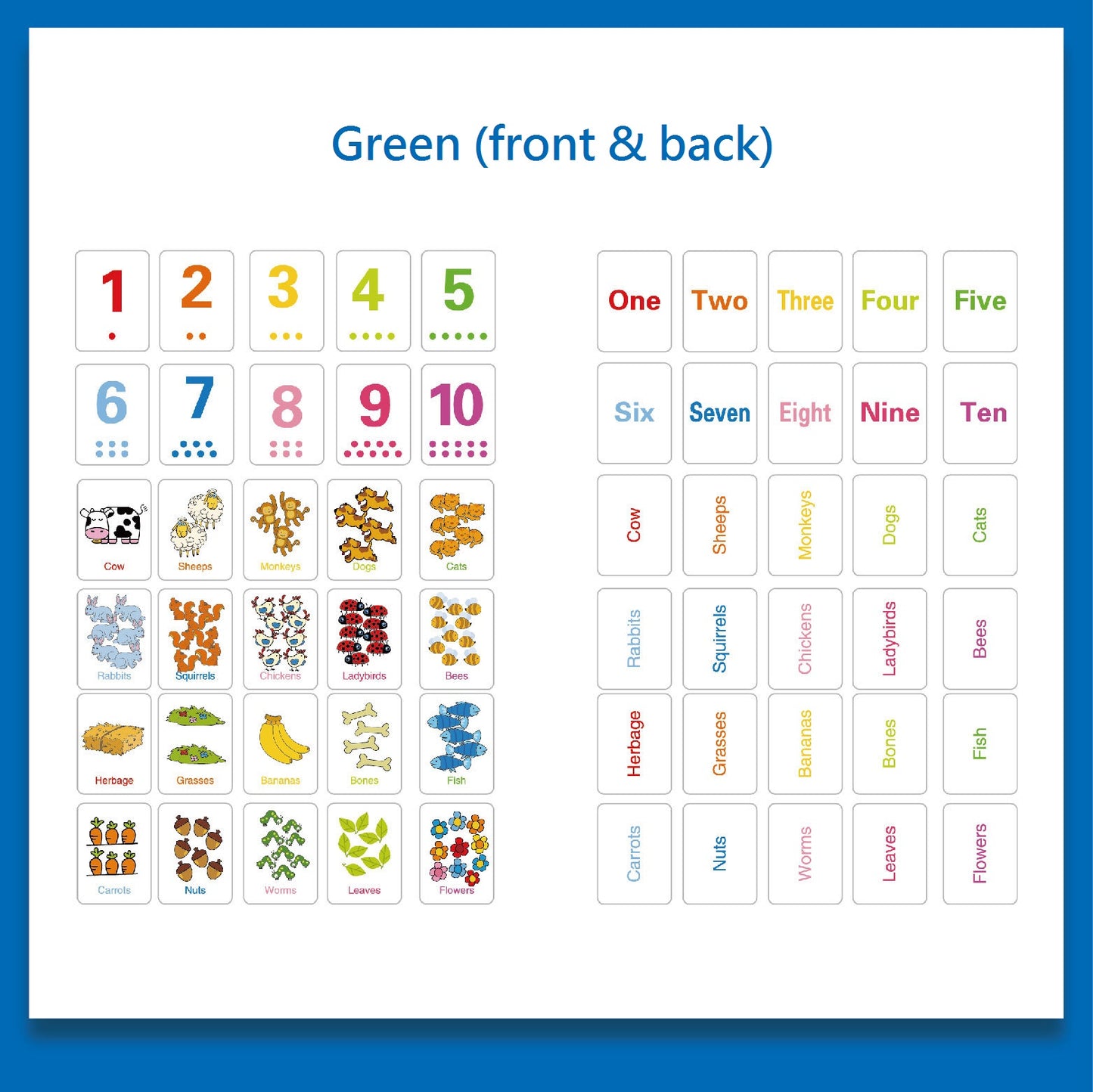 Cognition Puzzle