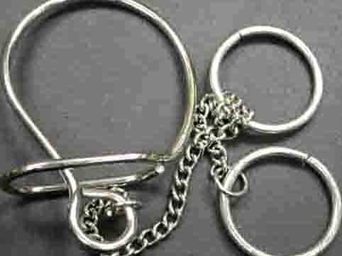 IQ Ring - Bell Band