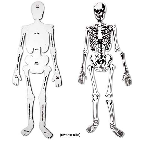 Skeleton Floor Puzzle