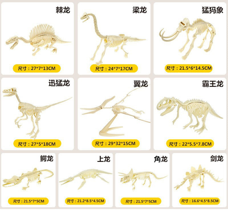 Dinosaur Fossil Model (Assembly required)