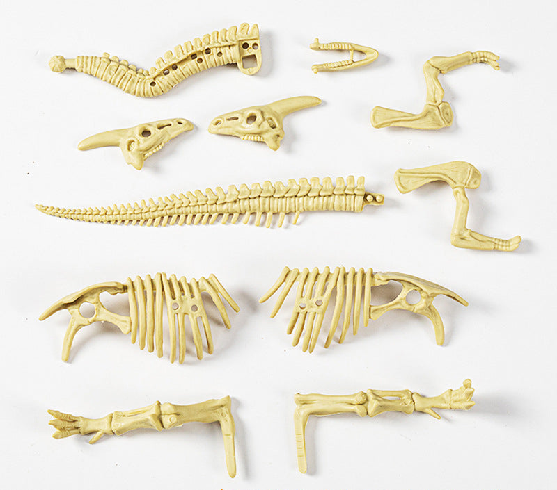 Dinosaur Fossil Model (Assembly required)