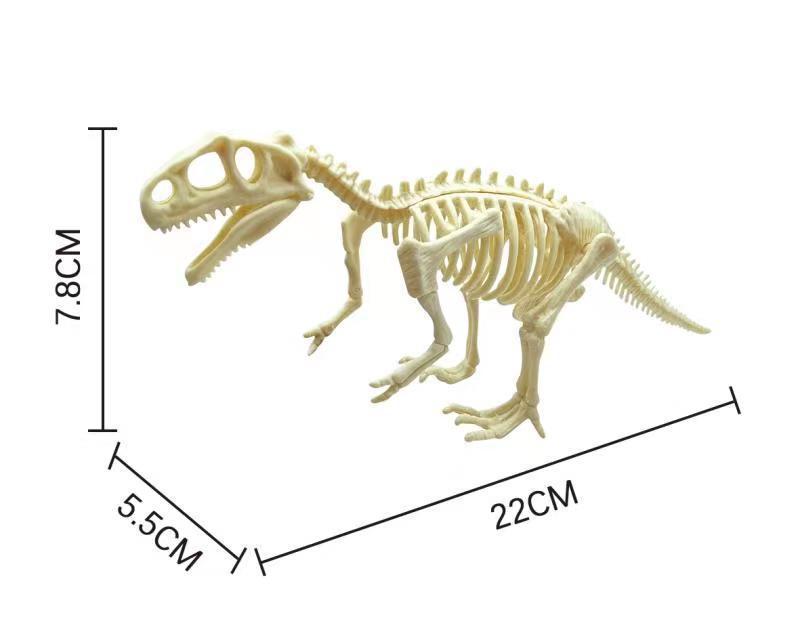 Dinosaur Fossil Model (Assembly required)