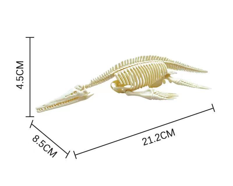 Dinosaur Fossil Model (Assembly required)