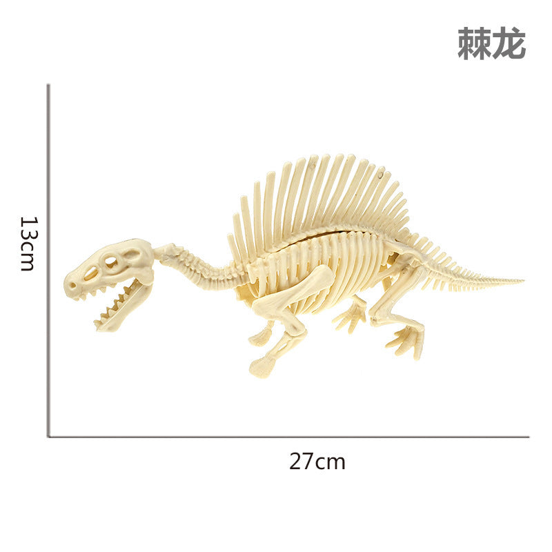 Dinosaur Fossil Model (Assembly required)