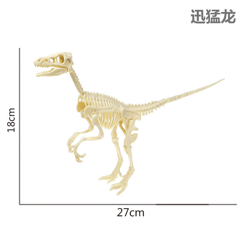 Dinosaur Fossil Model (Assembly required)