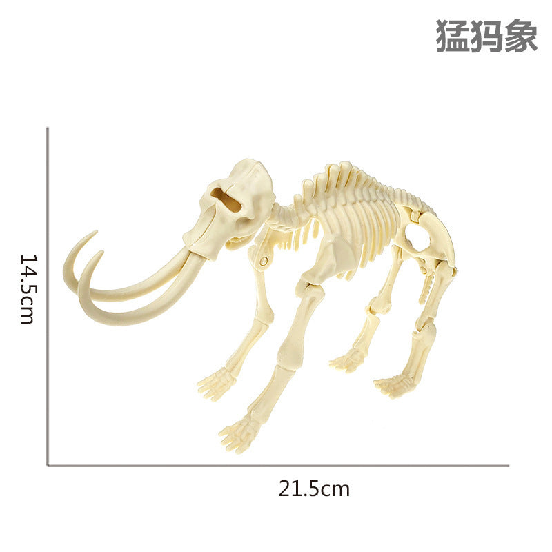 Dinosaur Fossil Model (Assembly required)