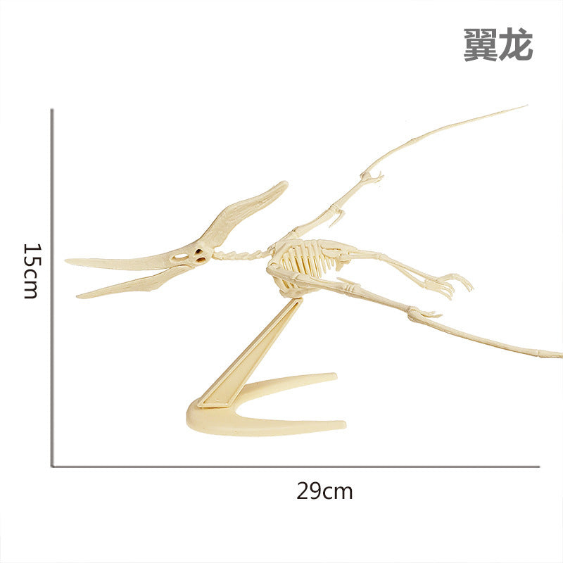 Dinosaur Fossil Model (Assembly required)