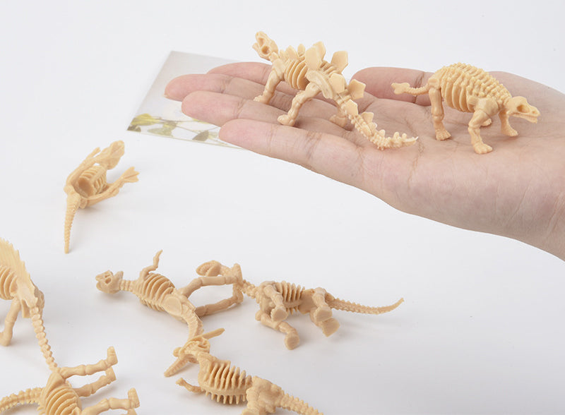 12 Dinosaur Skeletons Model