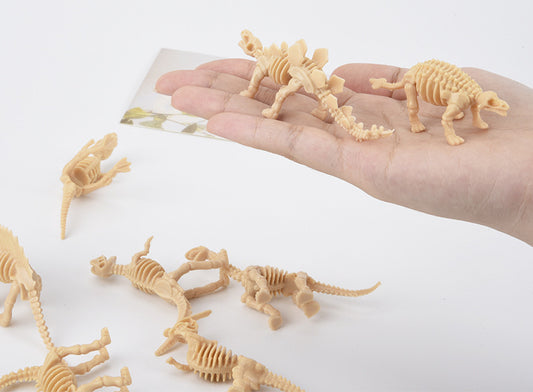 12 Dinosaur Skeletons Model