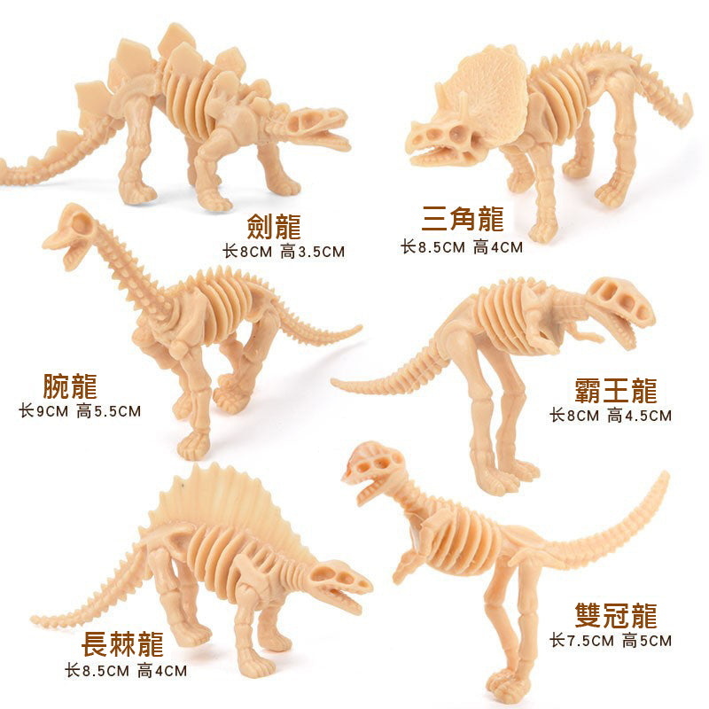 12 Dinosaur Skeletons Model