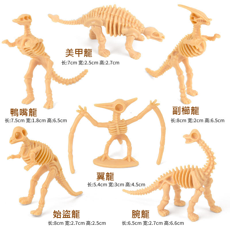 12 Dinosaur Skeletons Model