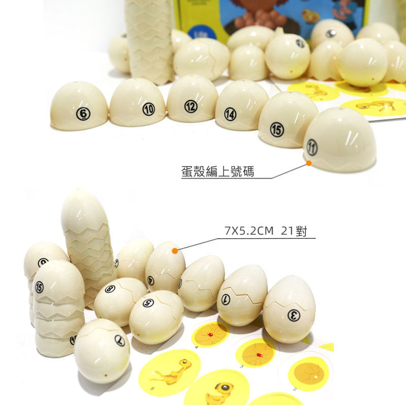 Chick life cycle