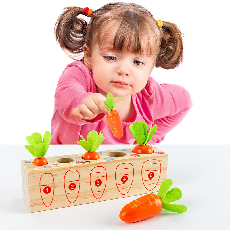 Harvest Carrots Number Eye testing Game