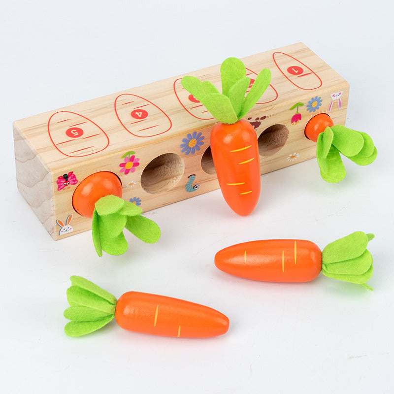 Harvest Carrots Number Eye testing Game