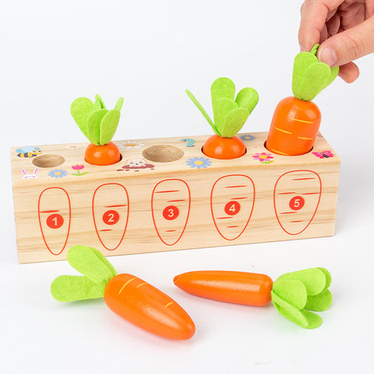 Harvest Carrots Number Eye testing Game
