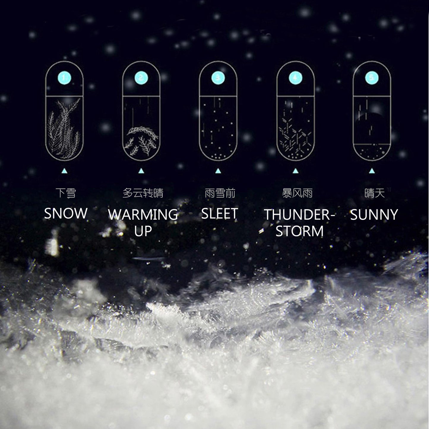 Storm Glass / Mini Weather Forecast Glass Bottle