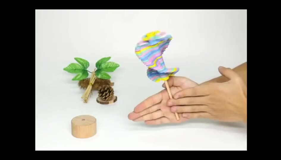 Wooden Spin Lollipop