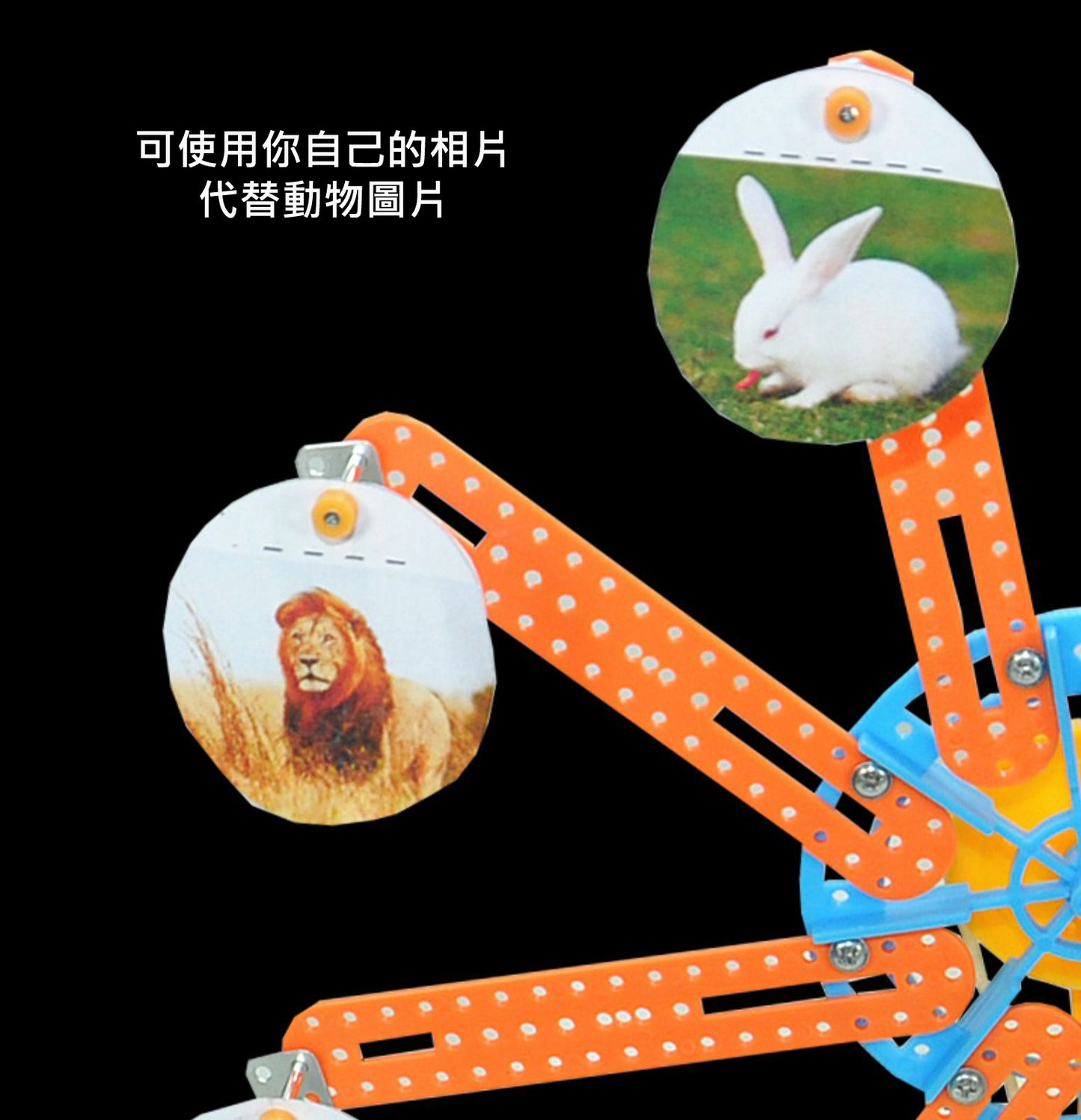 STEAM DIY - 電動拍照摩天輪