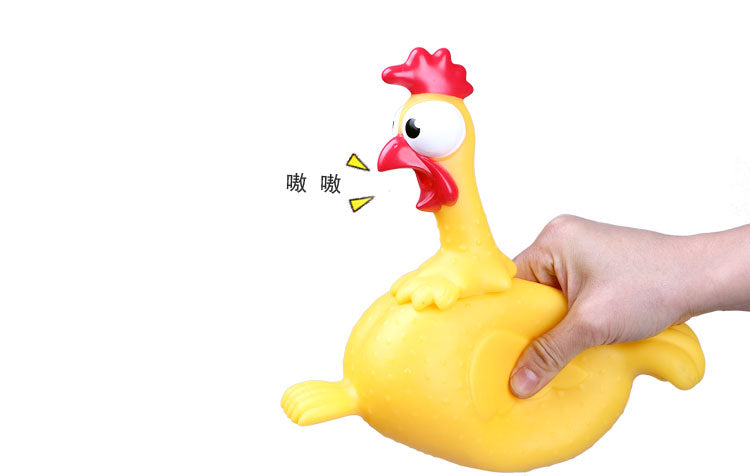 Screaming Egg Laying Chicken