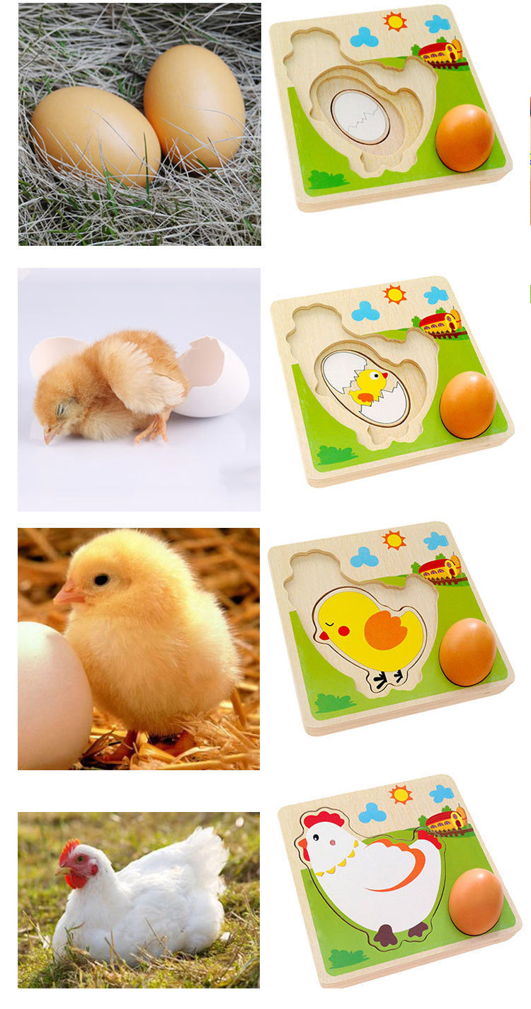 Chicken Growing up Puzzle