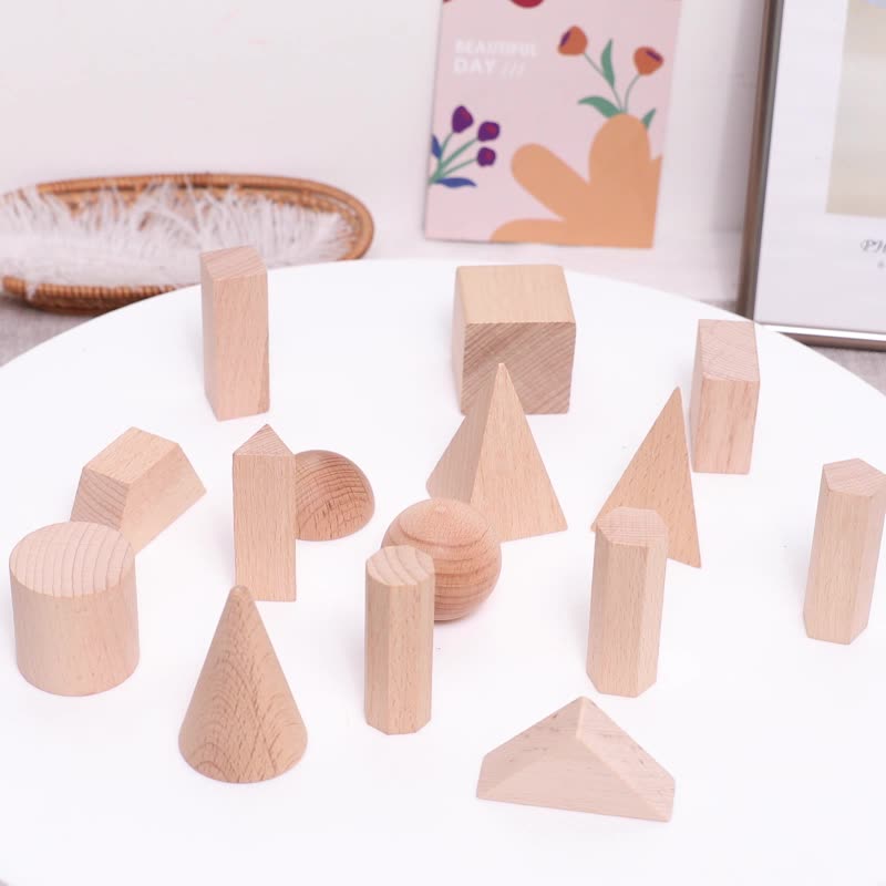 15pcs Geometric Solids Wooden Block Models
